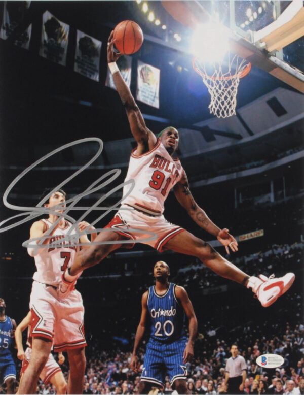 Verified Insignia Authentic Autographed Chicago Bulls Dennis Rodman Photo