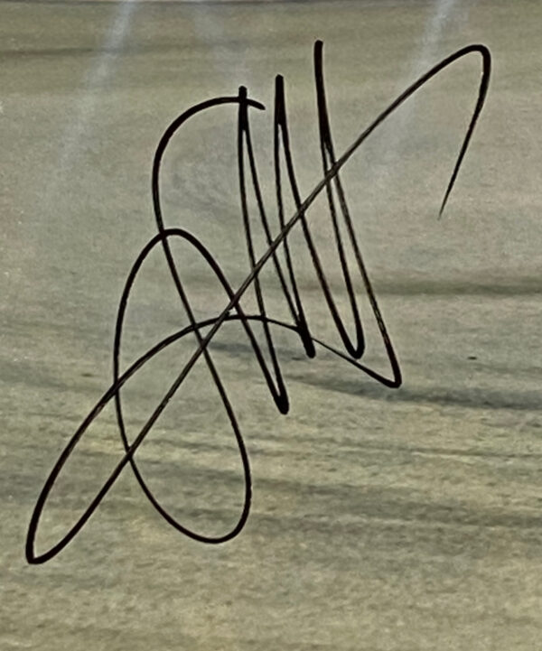 Verified Insignia Authentic Autographed Sebastian Vettel Photo